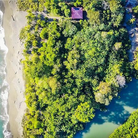 Punta Preciosa Bed & Breakfast Puerto Jimenez Ngoại thất bức ảnh
