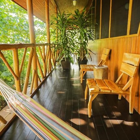 Punta Preciosa Bed & Breakfast Puerto Jimenez Ngoại thất bức ảnh