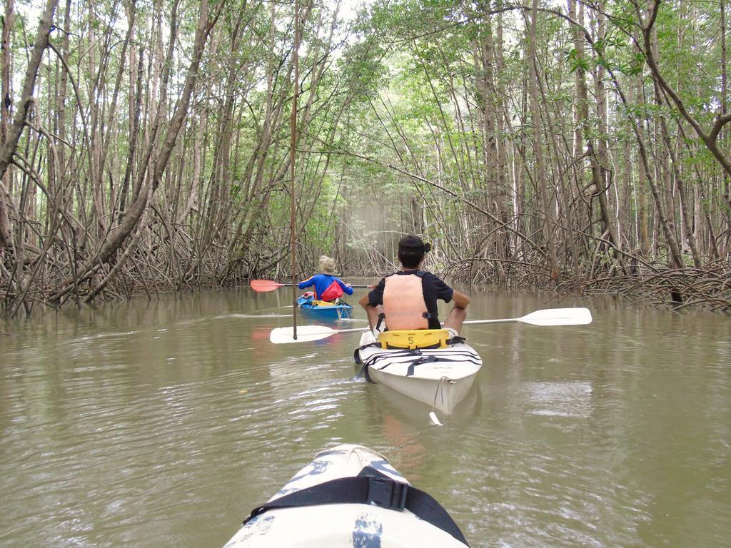 Punta Preciosa Bed & Breakfast Puerto Jimenez Ngoại thất bức ảnh