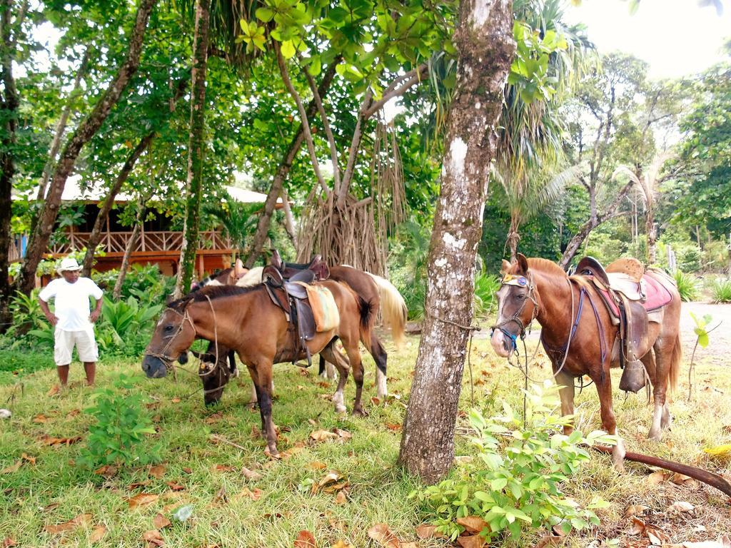 Punta Preciosa Bed & Breakfast Puerto Jimenez Ngoại thất bức ảnh