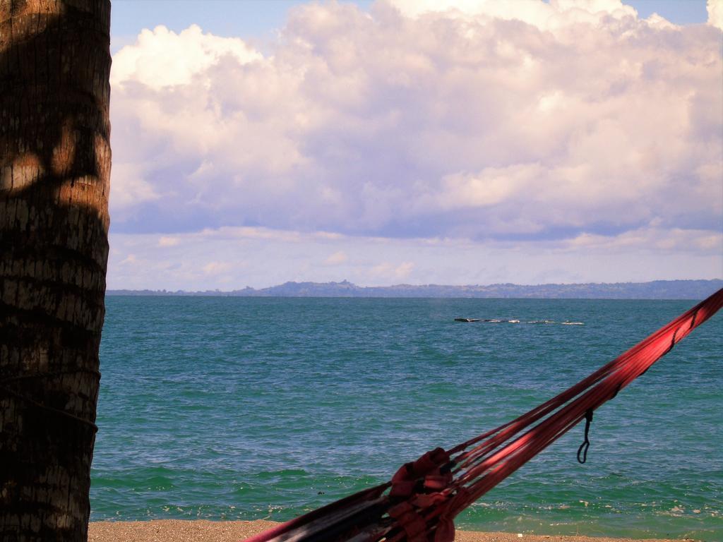 Punta Preciosa Bed & Breakfast Puerto Jimenez Ngoại thất bức ảnh