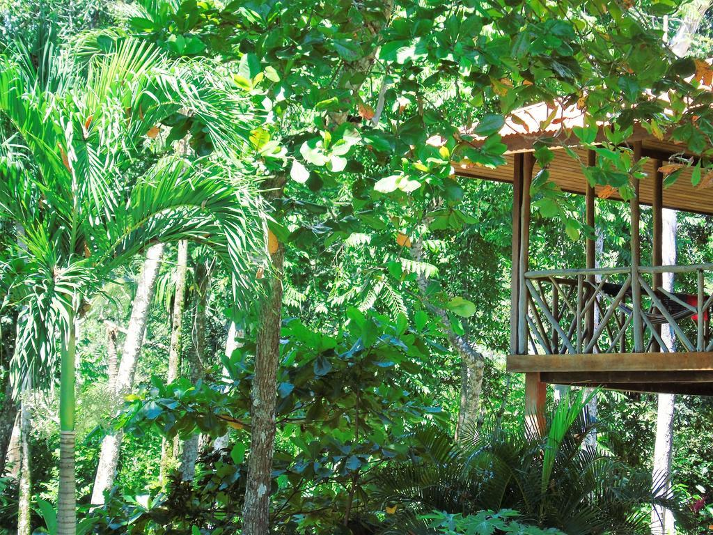 Punta Preciosa Bed & Breakfast Puerto Jimenez Ngoại thất bức ảnh