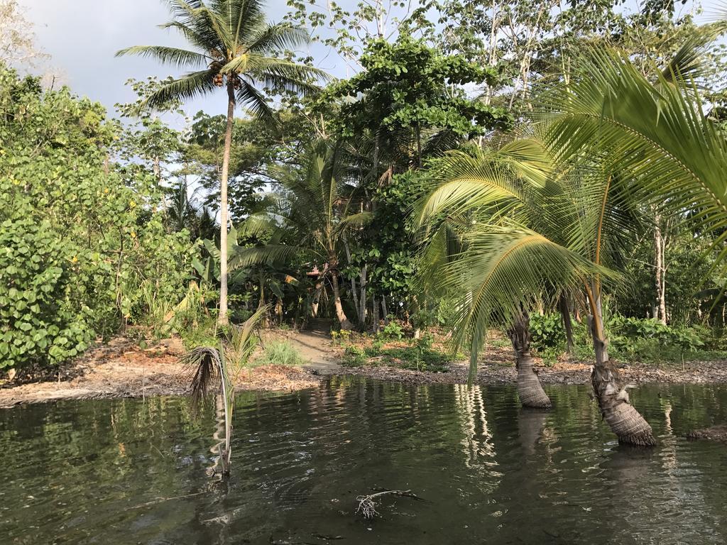 Punta Preciosa Bed & Breakfast Puerto Jimenez Ngoại thất bức ảnh