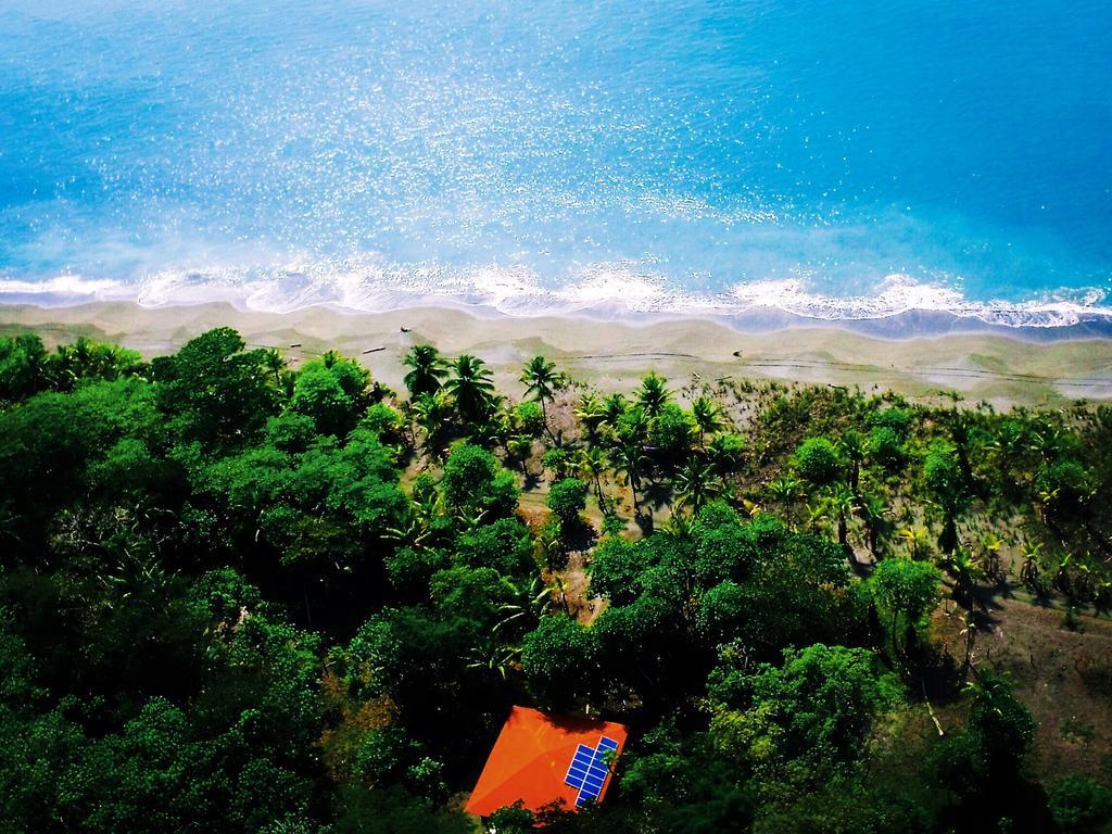 Punta Preciosa Bed & Breakfast Puerto Jimenez Ngoại thất bức ảnh