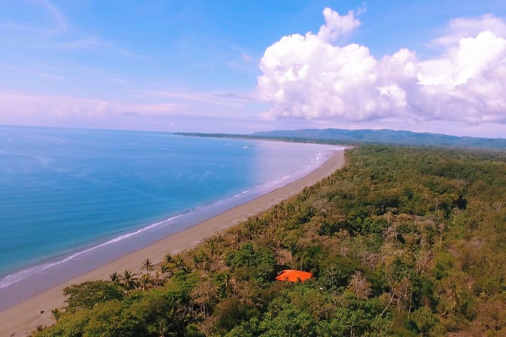 Punta Preciosa Bed & Breakfast Puerto Jimenez Ngoại thất bức ảnh
