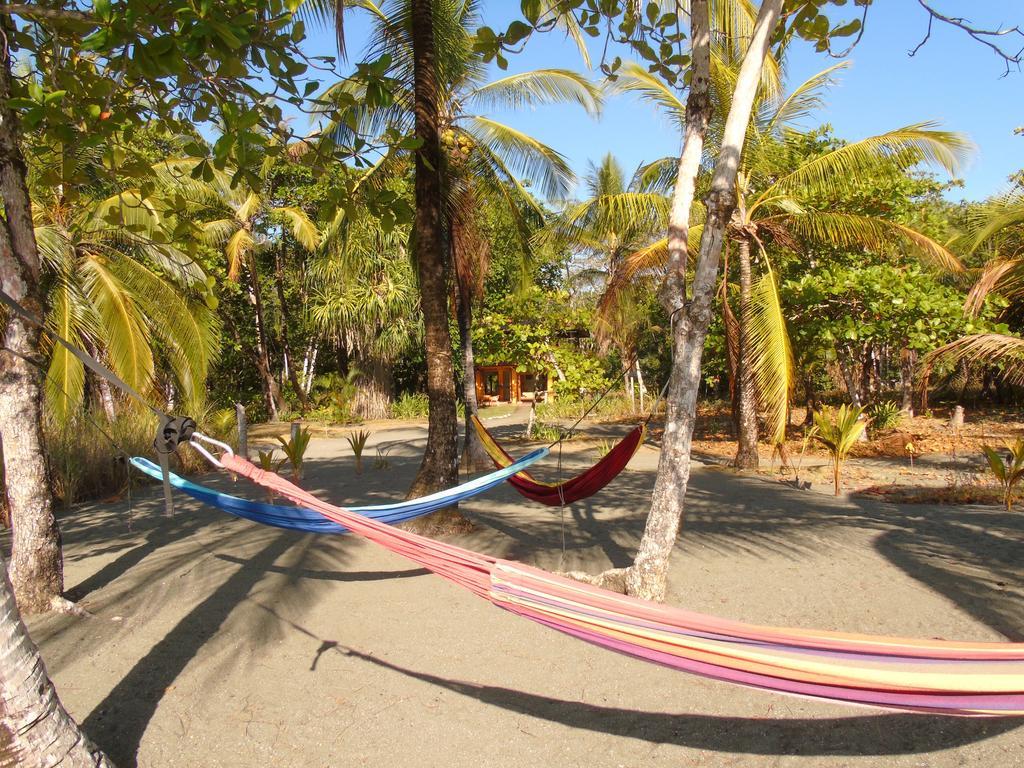Punta Preciosa Bed & Breakfast Puerto Jimenez Ngoại thất bức ảnh