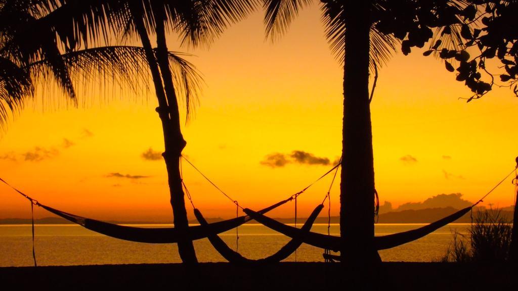 Punta Preciosa Bed & Breakfast Puerto Jimenez Ngoại thất bức ảnh