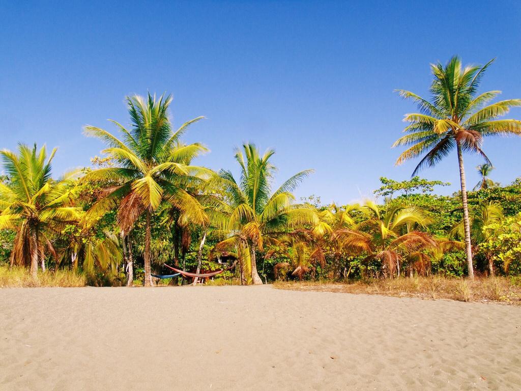 Punta Preciosa Bed & Breakfast Puerto Jimenez Ngoại thất bức ảnh