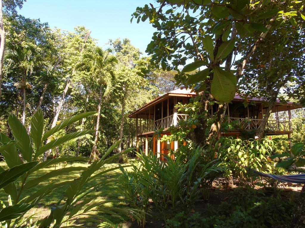 Punta Preciosa Bed & Breakfast Puerto Jimenez Ngoại thất bức ảnh