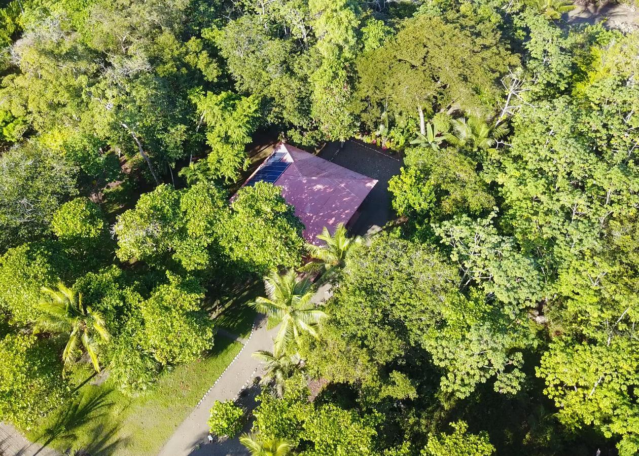 Punta Preciosa Bed & Breakfast Puerto Jimenez Ngoại thất bức ảnh