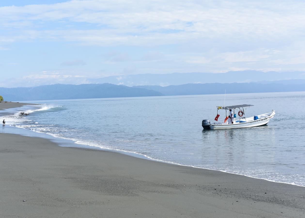 Punta Preciosa Bed & Breakfast Puerto Jimenez Ngoại thất bức ảnh