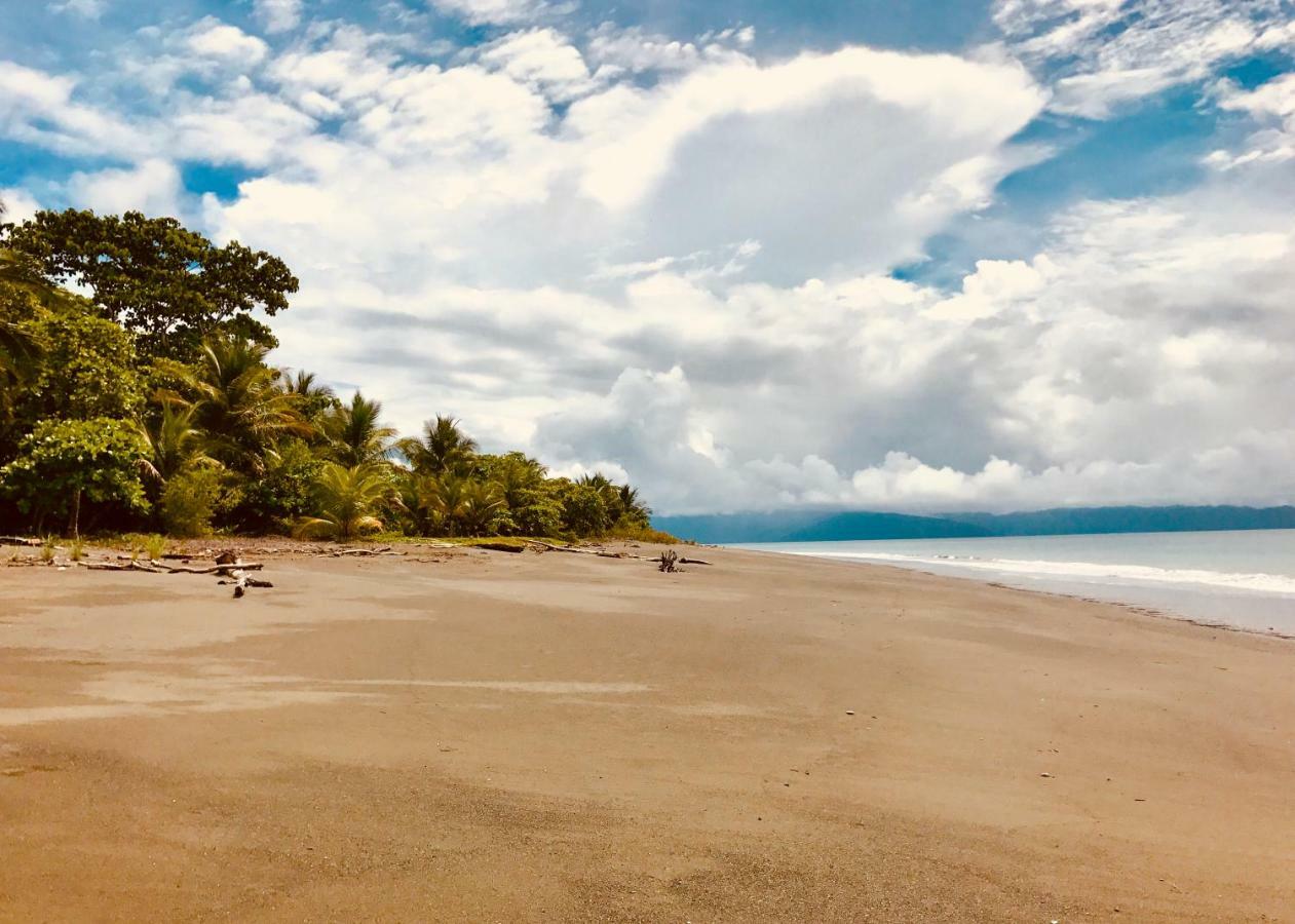 Punta Preciosa Bed & Breakfast Puerto Jimenez Ngoại thất bức ảnh