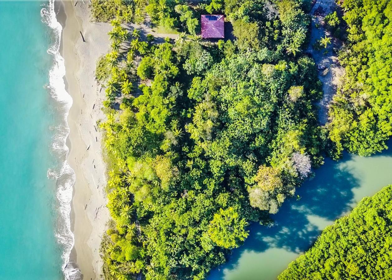 Punta Preciosa Bed & Breakfast Puerto Jimenez Ngoại thất bức ảnh